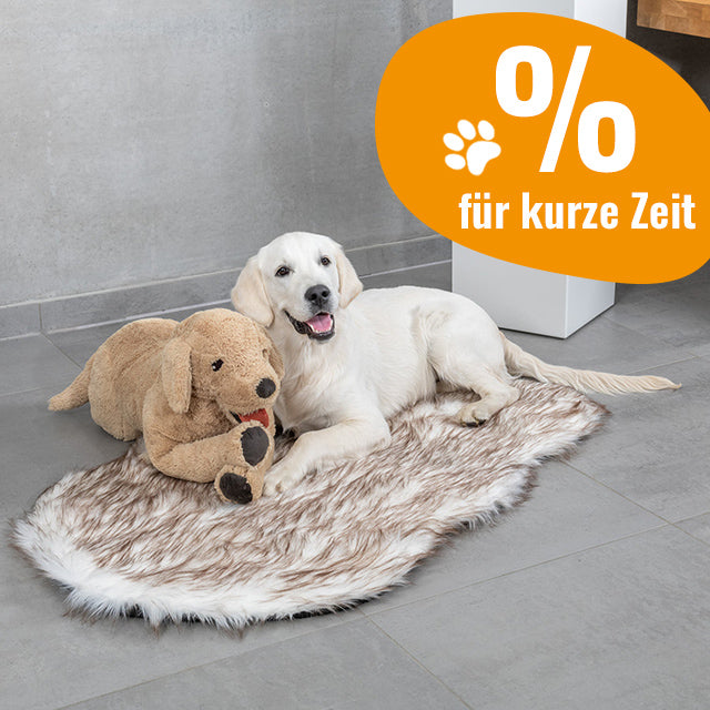 orthopädisches Hundebett